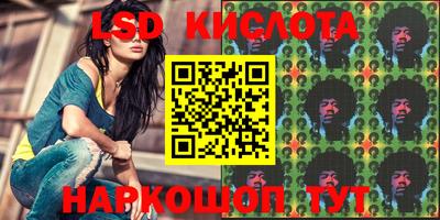 СК Камень-на-Оби