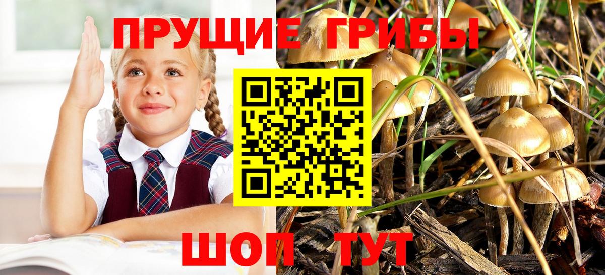 Псилоцибиновые грибы GOLDEN TEACHER Алушта