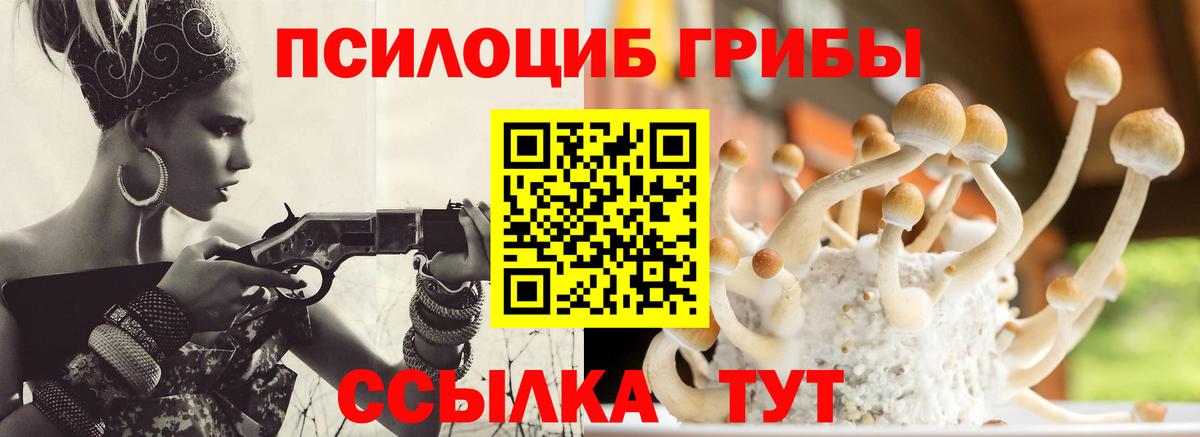 Галлюциногенные грибы GOLDEN TEACHER  Галлюциногенные грибы MAGIC MUSHROOMS  Алушта  Вход с VPN 